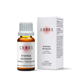 Teinture mère d'Artemisia abrotanum