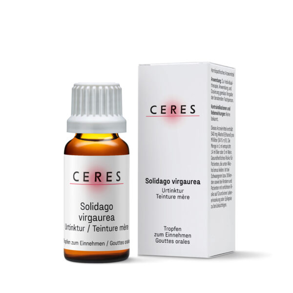Teinture mère de Solidago virgaurea