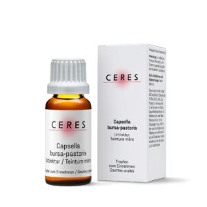 Teinture mère Capsella bursa-pastoris