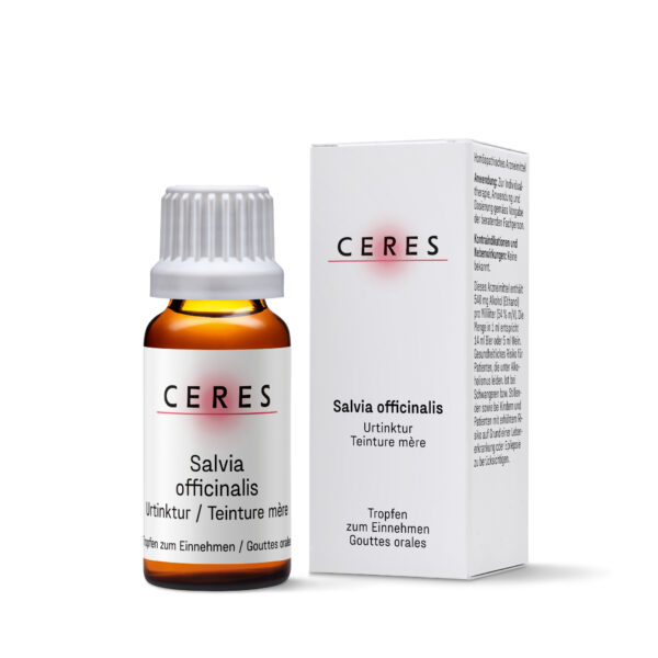 Salvia officinalis - Teinture mère